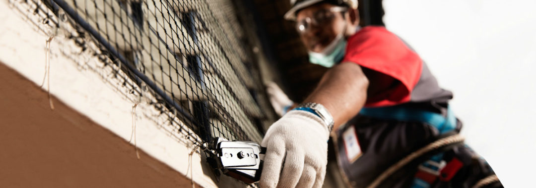 bird netting installation