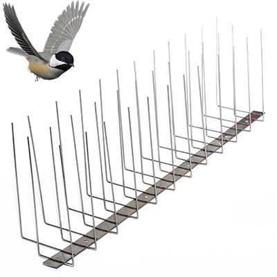 What Anti-Pigeon Spikes Used to Deter Uninvited Pigeons On Ledges? - Bird  Spike Control